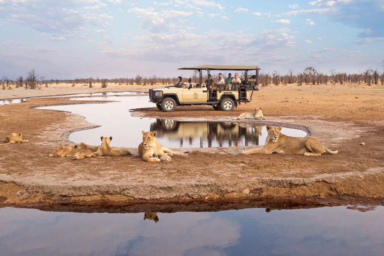 A game-drive vehicle at a desert waterhole, lions resting in the open
